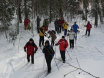 Bezmaksas slēpojums Ķemeru nacionālajā parkā