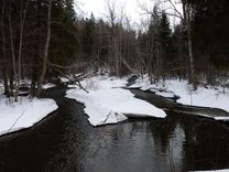 No 1. marta – aizliegts makšķerēt līdakas