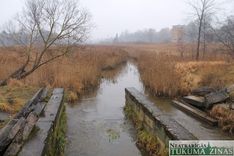 Plāno tīrīt Sloceni un Džūkstes upi