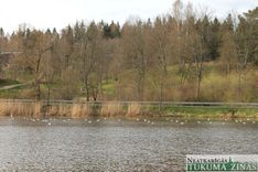 Kopš zivju noslāpšanas Šlokenbekas ezerā pagājis gads