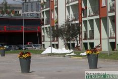 Kāpēc sniegu ber uz zāliena?