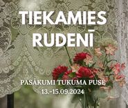 Garšas kārpiņu tango, Stirnu buks un ģimenes aktivitātes