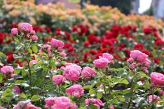 Koncerti, aktīvā atpūta un citi pasākumu nedēļas nogalē