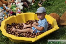 Viesatu upes dabas takās nosvinējuši Jumja dienu