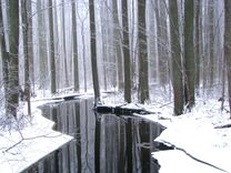 21. februārī Ķemeros atzīmēs Mitrāju dienu