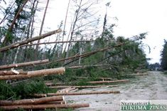 Par vētru nodarītajiem postījumiem palielinājušās atlīdzības 