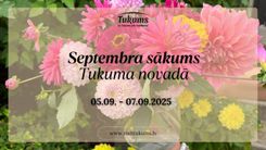 No punktošanas līdz balsīm mežā. Pasākumi nedēļas nogalē