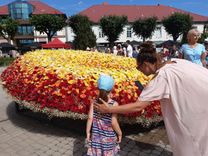 770 gadadienā Tukums svin Rožu svētkus