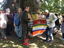 Cik reižu apkārt Kaives ozolam?/FOTO un VIDEO/