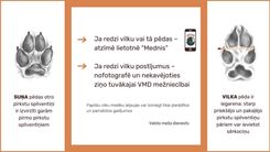 Meža sanitāri – sargājami vai pārāk sargāti?