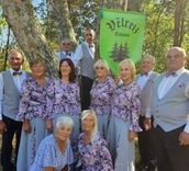 Tukuma seniori sadejo Strenčos