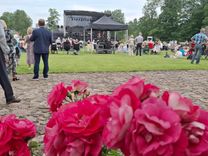 Tradīcijas nes rožu pilsētas slavu