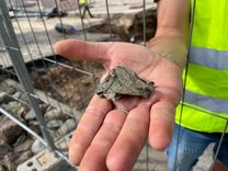 Siltumtrases pārbūve Tukumā atklāj vēstures liecības