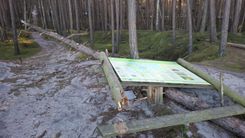 Vēl daži vēja nedarbi...