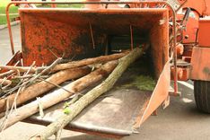 Kāpēc zarus dedzina, bet nešķeldo?!