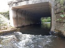 Pienācis laiks nojaukt aizsprostus upēs