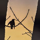 Piedzīvo mākslas burvību, apmeklējot izstādes Tukuma pusē