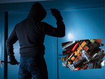 Tukuma novadā aizturēts rūdīts garnadzis, kurš guvumus ņēmis uzlauztās mantu glabātavās