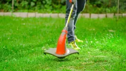 Arī zagļiem dārzkopības sezona?