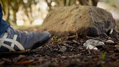 Tumes pagasta Ķīļu kapos slēpņotāji ierīko slēpni