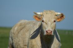 Aicina uz konferenci: “Kādas prasmes vada veiksmīgu uzņēmēju laukos?”