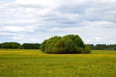 Projekts – Novadi zaļo