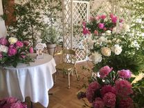 Tukuma kultūras namā – peoniju izstāde/PAPILDINĀTS/