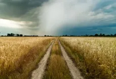 Svarīgi! Līdz 15. jūnijam jāpiesakās platību maksājumiem