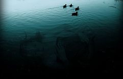 Par drošību uz ūdens