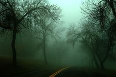 Tumšajā laikā katru dienu uz ceļiem iet bojā vai smagas traumas gūst gājēji