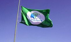 Noskaidroti Ekoskolu Rīcības dienu 2020 konkursa uzvarētāji. To vidū ir arī Irlavas pamatskola