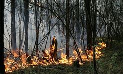 Līdz ar talku valstī sākas ugunsnedrošais laiks