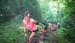 Stirnu buki ieskries Tukumā