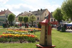 Saldus novada un Saldumu svētki