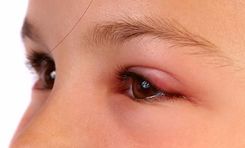 Ja aci piemeklējis mieža grauds…