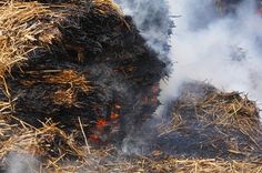 Kā brīvdienas aizvadītas