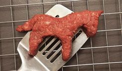 Polijas liellopu gaļas izejvielā konstatēti 87% zirgu gaļas