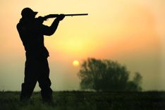 Vai pieņemami ceļmalā atstāt nomedīta dzīvnieka atliekas? 