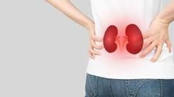 Veselīgs dzīvesveids ir arī nieru pārbaudes