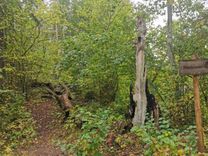 Raidījumā pētīs paranormālās aktivitātes Draņķozola tuvumā