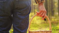 Atklāta mežā maldīšanās sezona