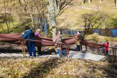 Struteles brunči 25 m garumā un 8,5kg smagumā