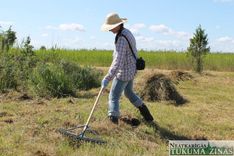 Ķemeru Nacionālais parks aicina uz siena talku zāļu purvā pie Kaņiera ezera