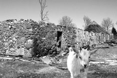 Lūgums palīdzēt ugunsnelaimē cietušai saimniecībai 