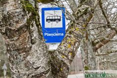 Apšuciema ceļa malā nocirtīs vairāk nekā 2000 koku