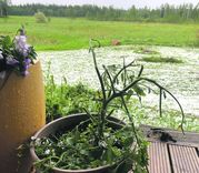 Ko krusa Sēmes pagastā sastrādājusi