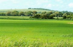 Uzticams atbalsts jaunajiem lauksaimniekiem – Lande.lv