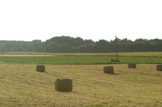 Pieejami zemes, būvju un adrešu reģistra pārskati par 2012. gadu