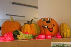 Ja negadījās pabūt Leģendu naktī...