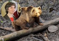 Aicina neizplatīt foto un video ar cilvēku un plēsīgu dzīvnieku